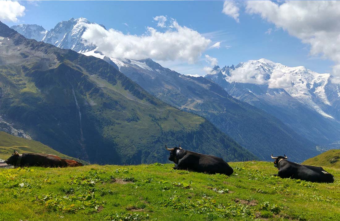 Alpages de Balme Chamonix-Mont-Blanc